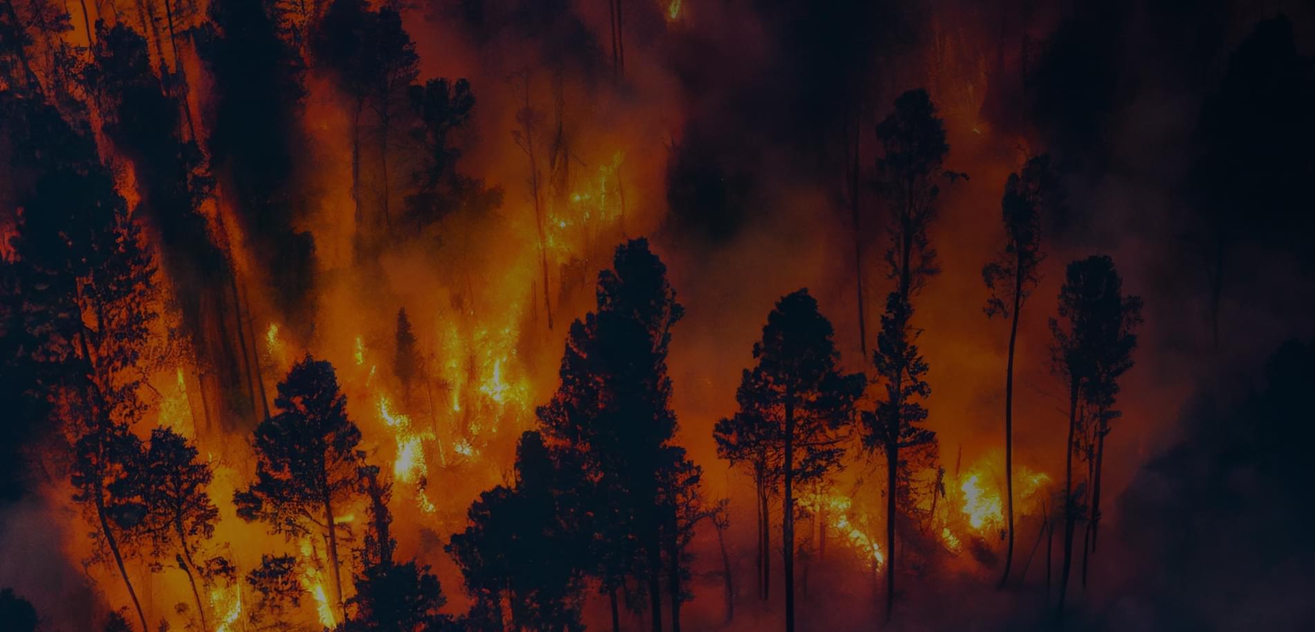 Fotografia de vista área de uma região alagada